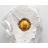 Louis Roederer - Cristal