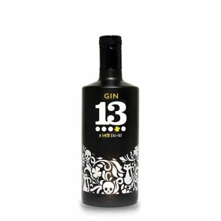 GIN 13