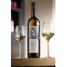 LUBERON MAS DES INFERMIERES SOURCE BLANC