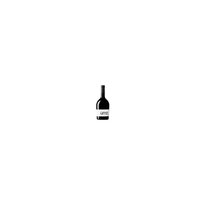 PIC SAINT LOUP DOMAINE UMA