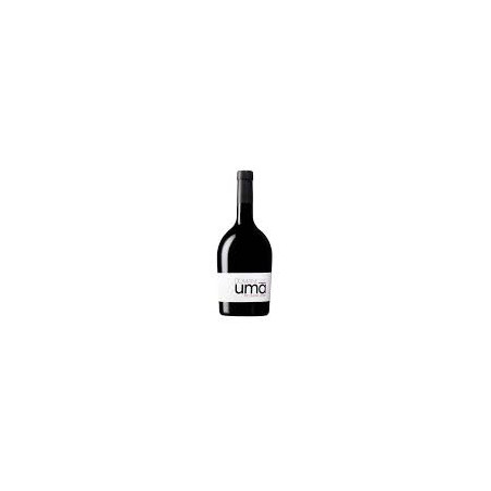 PIC SAINT LOUP DOMAINE UMA