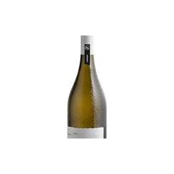 PIZZOLATO CARDONNAY VENETIE