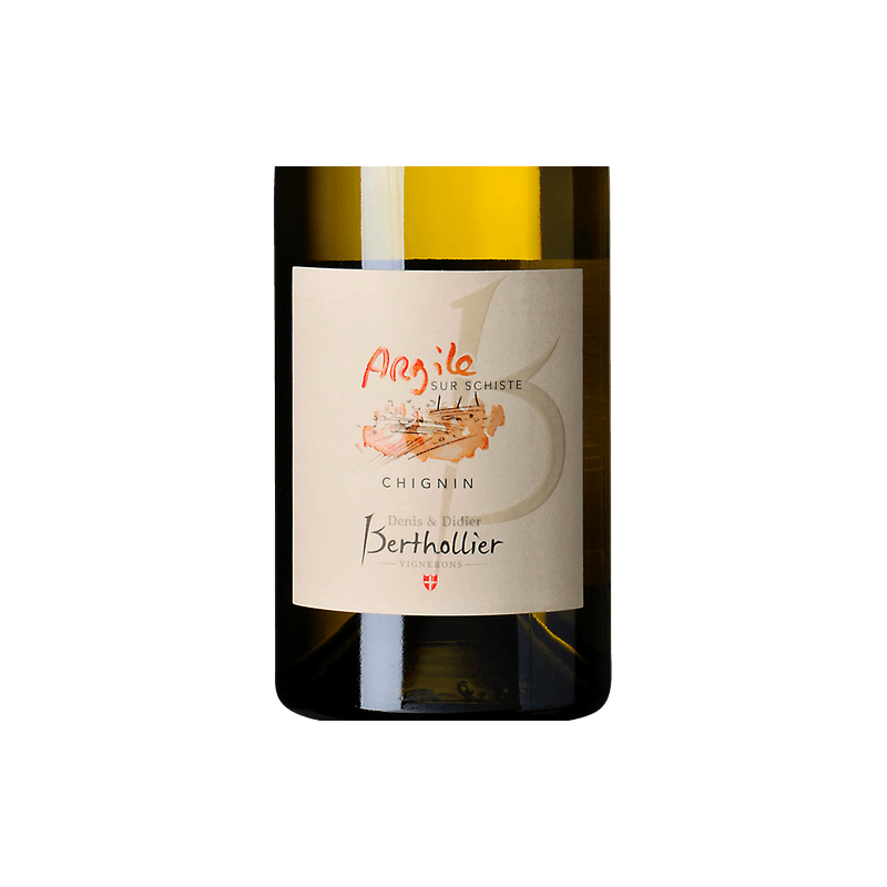 CHIGNIN ARGILE/SCHISTES