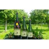 Cidre COAT-ALBRET Demi Sec 75CL