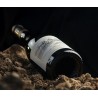 AOC Cahors