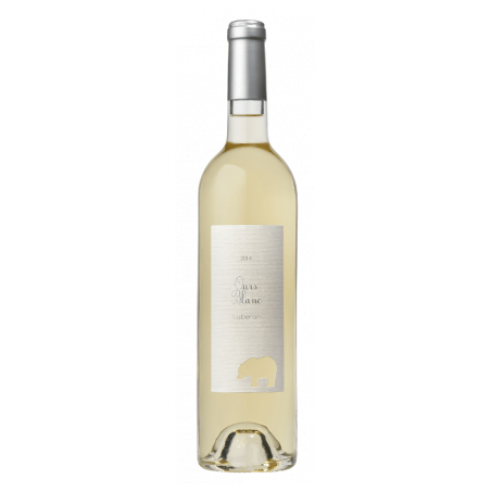 Ours Blanc - Les Animals